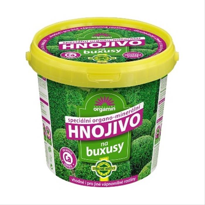 Buxusy (Buxus sempervirens, rostoucí kultivar, zelenými listy) Buxusy