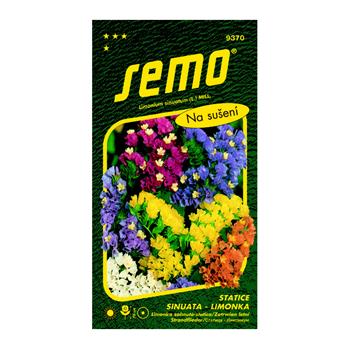 Limonka Statice sinuata směs
