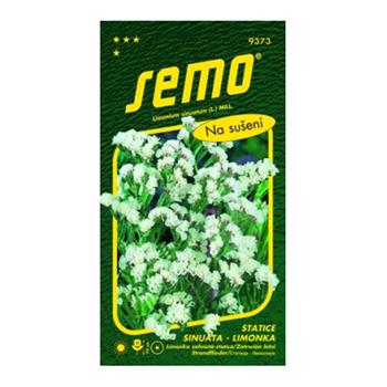 Limonka Statice sinuata Věncovka bílá