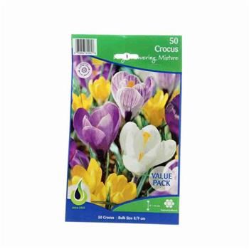 Krokus Large Flowering mix 50ks
