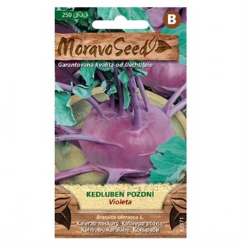 Kedluben pozdní modrý Violeta (MS)