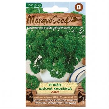 Petržel naťová ASTRA (MS)