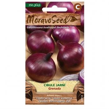 Cibule jarní červená GRENADA (MS)