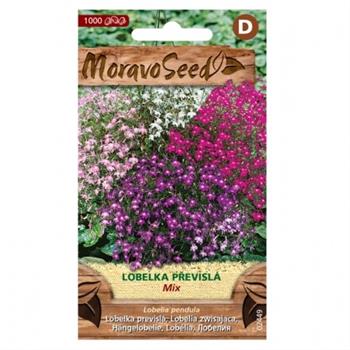 Lobelka převislá směs (MS)