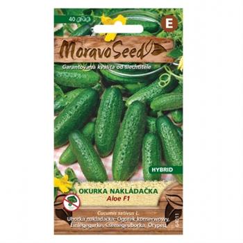 Okurka nakládačka ALOE F1 hruboostná (MS)