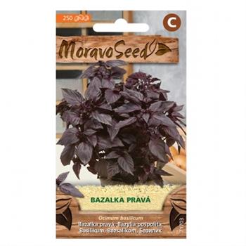 Bazalka červená (MS)