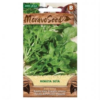 Roketa setá (MS)