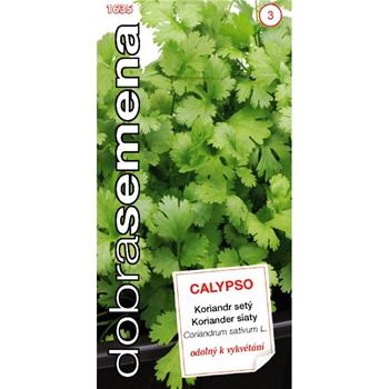 Koriandr CALYPSO (DS)