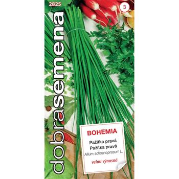 Pažitka BOHEMIA (DS)