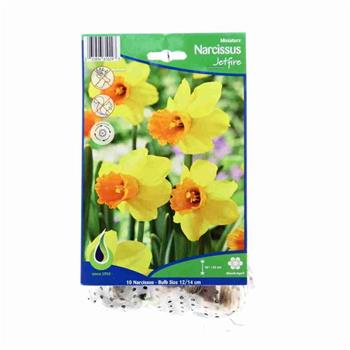 Narcis Jetfire 10ks