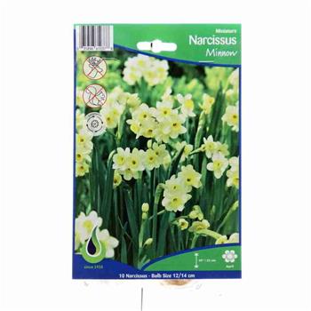 Narcis Minnow 10ks