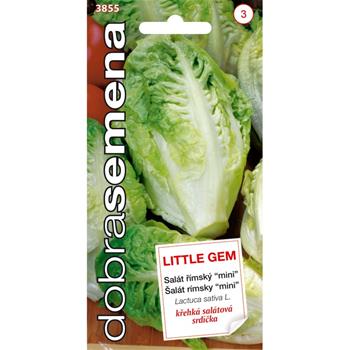 Salát římský LITTLE GEM (DS)