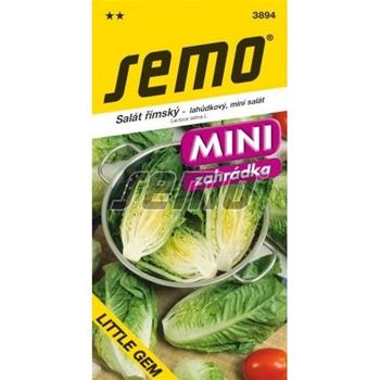 Salát římský Little Gem MINI