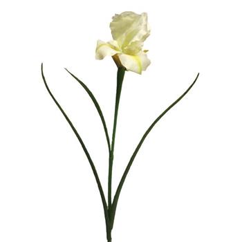 Kosatec řezaný umělý 60cm krémový