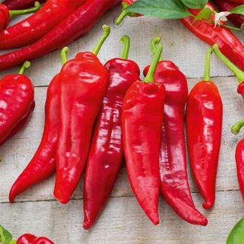 Paprika Lipari neroubovaná 12cm
