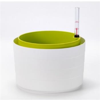 Žardina BERBERIS samozav. + závěs bílá-zelená 30cm