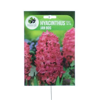 Hyacint Jan Bos 3ks