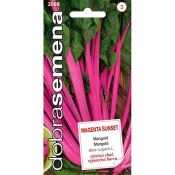 Mangold MAGENTA SUNSET (DS)