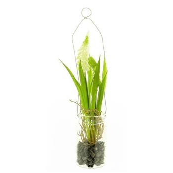 Modřenec ve skle umělý krémová 24cm