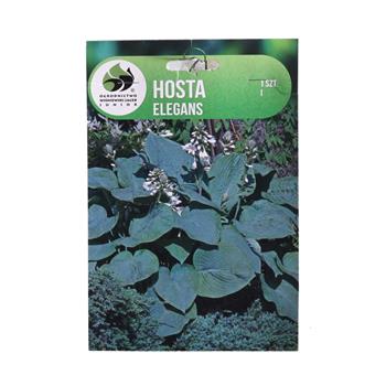 Bohyška Elegans 1ks