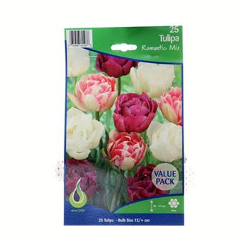 Tulipán Romantic mix 25ks