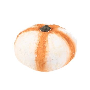 Dýně keramická bílo-oranžová 17cm