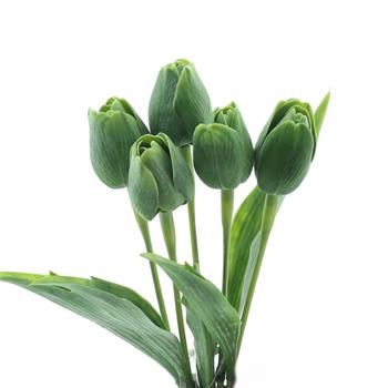 Tulipán řezaný umělý tm.zelený 40cm