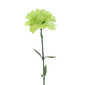Karafiát ELBA řezaný umělý sv.zelený 67cm