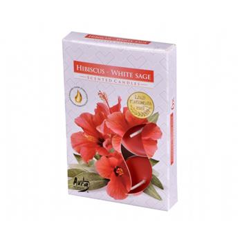 Svíčka čajová vonná Hibiscus & White Sage 6ks