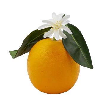 Pomeranč s listy a květy umělý 13cm