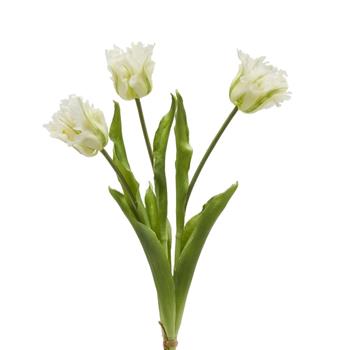 Tulipán PARROT ve svazku umělý zeleno-bílý 3ks