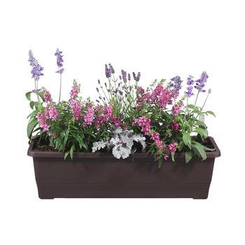 Dotek Provence truhlík 60cm
