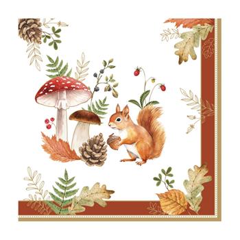 Ubrousky AUTUMN BREEZE 20ks