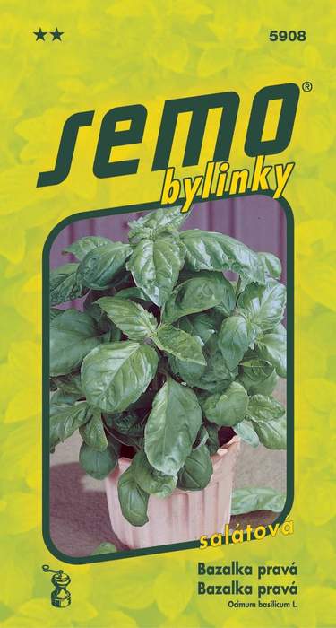 E-shop Bazalka pravá salátová Lettuce Leaf