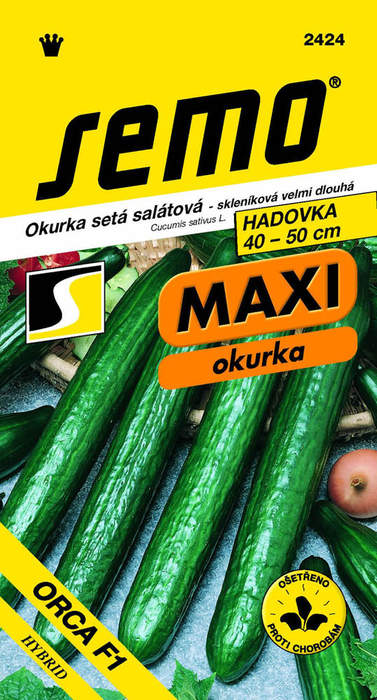 E-shop Okurka skleníková Orca F1 MAXI