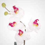 Phalaenopsis hrnkový umělý 30cm bílo růžová