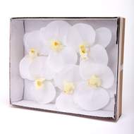 Phalaenopsis květ OTLEY umělý bílý