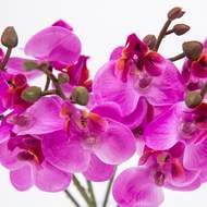 Phalaenopsis umělý řezaný EVIA fialová