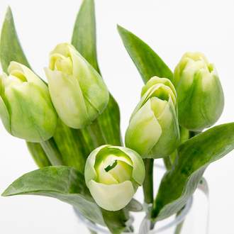 Tulipán řezaný umělý 40cm bílo-zelený