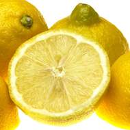 Citronová tráva BIO 12cm