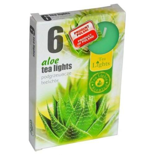 E-shop Svíčka čajová vonná 6ks Aloe