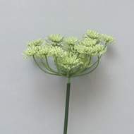 Květ mrkve řezaný umělý zelený 72cm