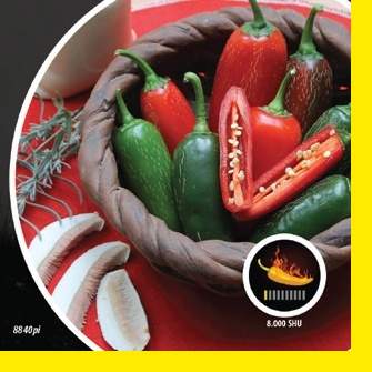E-shop Paprika chilli Jalapeno PIQUANT
