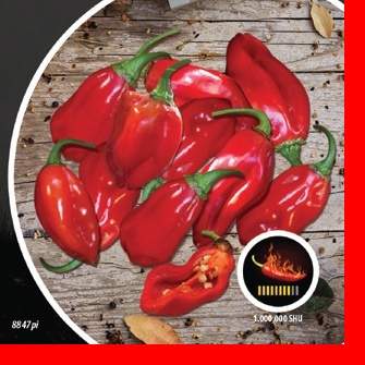 E-shop Paprika chilli Naga Morich PIQUANT