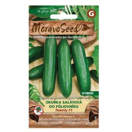 Okurka salátová TWENTY F1 fóliák (MS)