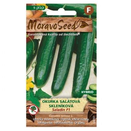 Okurka salátová SALADIN F1 skleníková (MS)