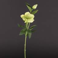 Čemeřice PRUMO umělá 3 květy 52cm zelená