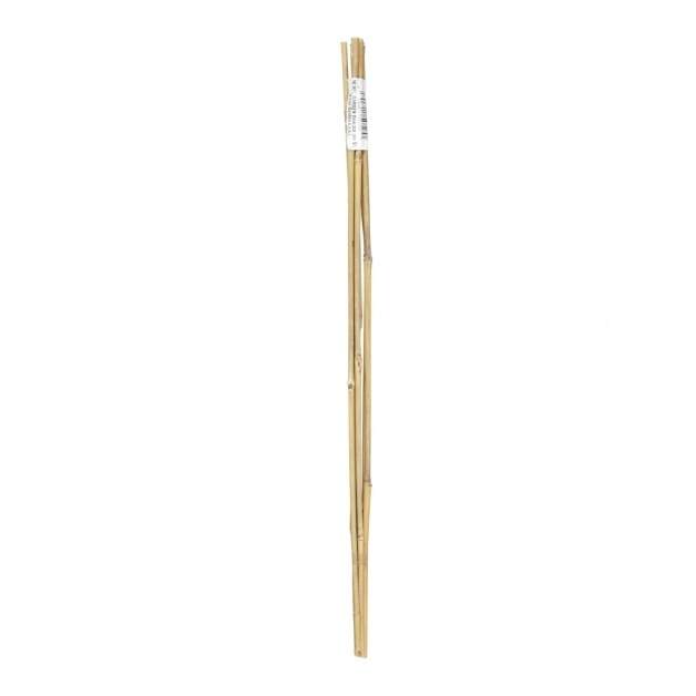 Levně Tyč bambusová 60 cm