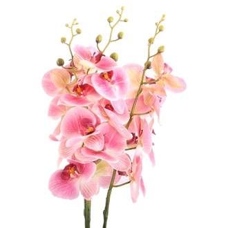 Phalaenopsis KENT  umělý růžový