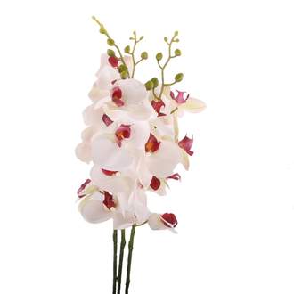 Phalaenopsis KENT umělý bílo-růžový